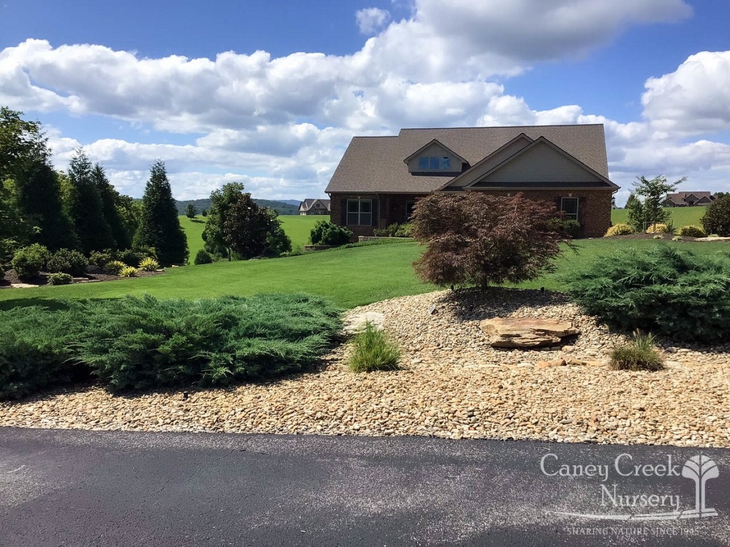 Grand Vista Bay Landscaping