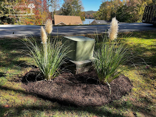 The Science Behind Landscape Design