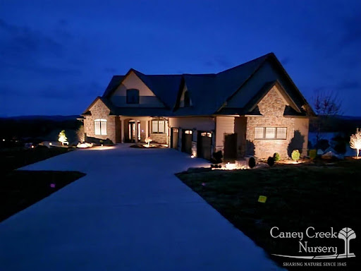 The Benefits of Professional LED Landscape Lighting Design