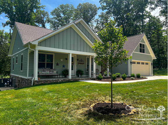 caneycreeknursery